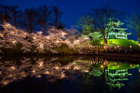 高田城の夜桜 新潟県