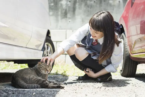 猫を愛でる女子学生