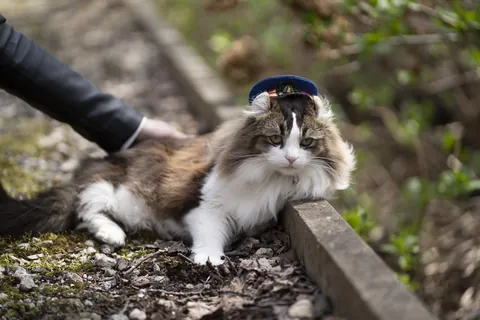 らぶ 二代目名誉駅長 ③