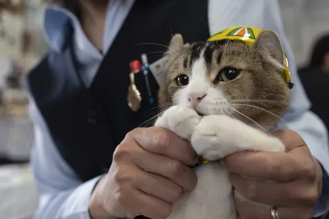 ぴーち 施設長 ①