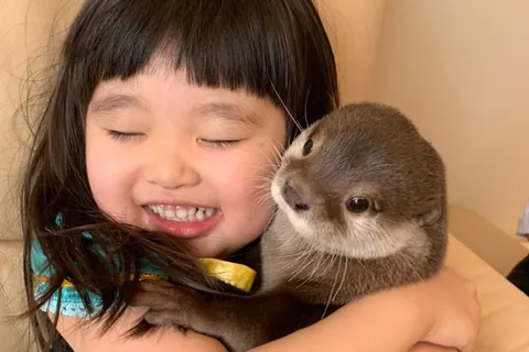 葵与Reina