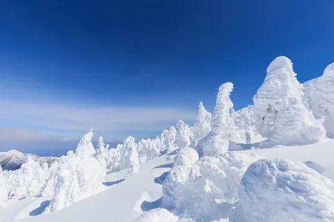 Árboles de hielo de Zaō, Yamagata