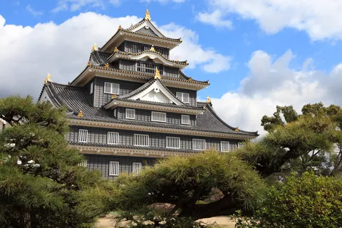 岡山城 / 岡山縣