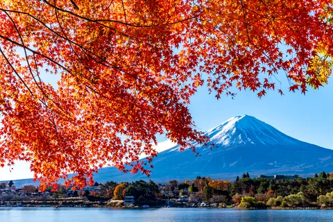 紅葉中的河口湖 / 山梨縣