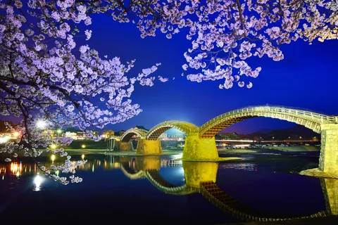 錦帯橋と夜桜