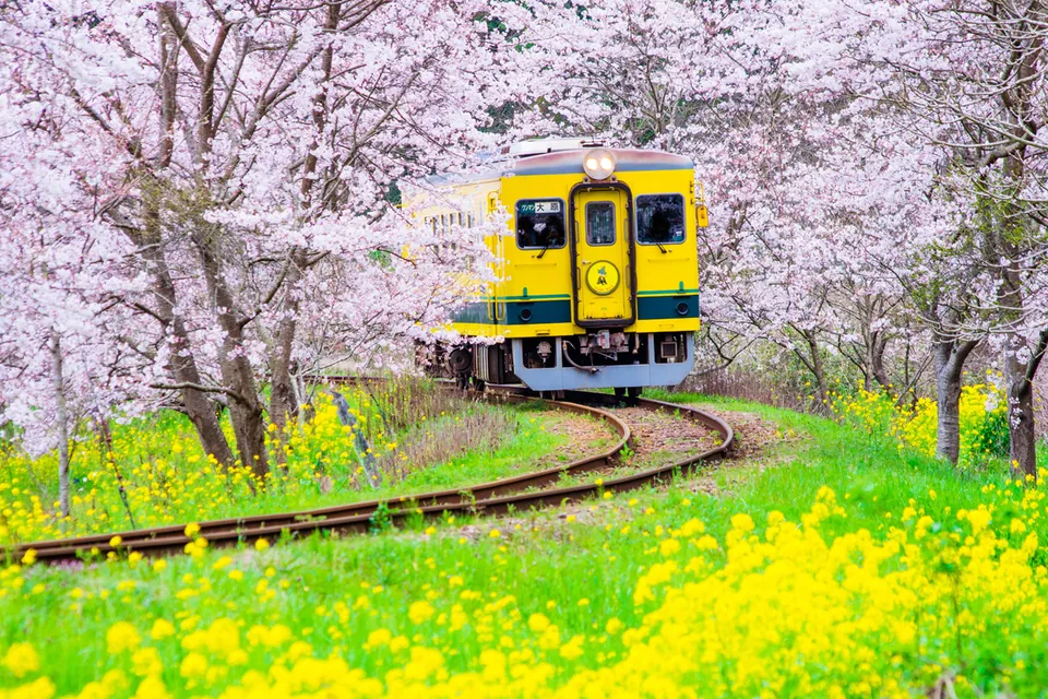 Traumbahnen Japans