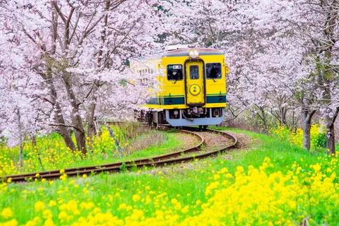日本の絶景トレイン