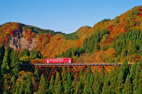 Rote Brücke und Herbstlaub, Akita