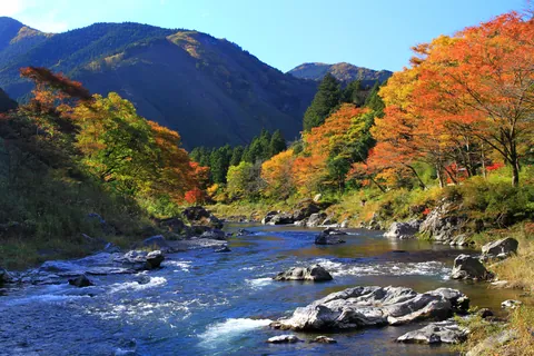 Mitake Valley in autumn leaves