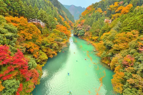 Okutama Valley in autumn leaves