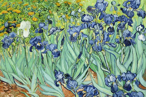 Schwertlilien / Vincent van Gogh