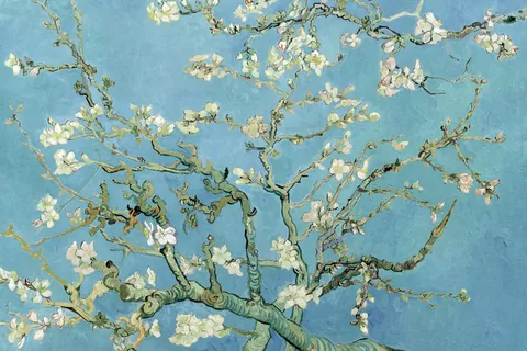 Mandelblüte / Vincent van Gogh