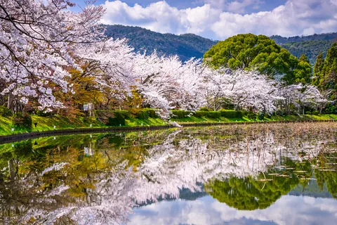 春の大沢池