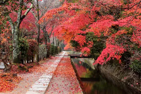 秋の哲学の道