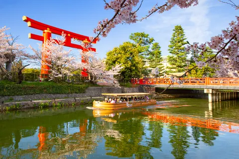 春の岡崎疏水