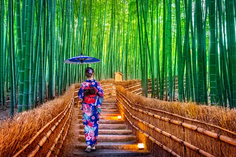 嵯峨野の竹林