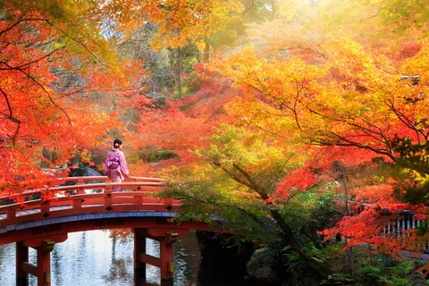 秋の京都