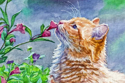 ピンクの花を嗅ぐ猫