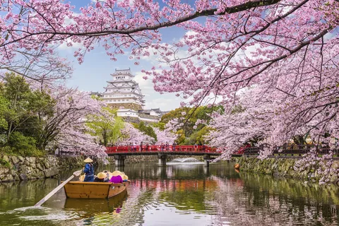 桜満開の姫路城