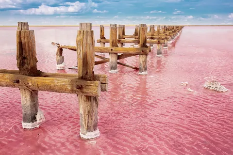 ピンクの湖の朽ちた桟橋