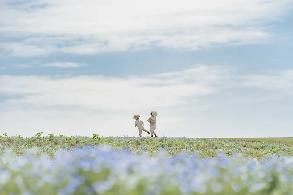 北海道 絶景の旅 ～小さな冒険者～ / 坪井智洋
