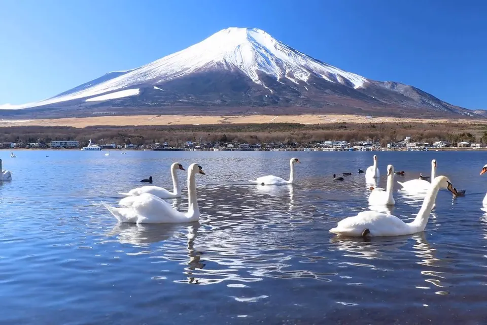 [Moving] The Greatest Scenery in Japan