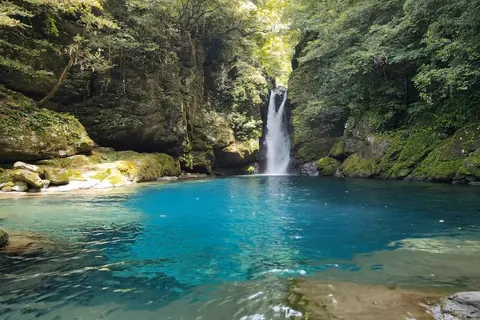 Niyodo Blue at Nikobuchi