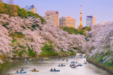 Chidorigafuchi