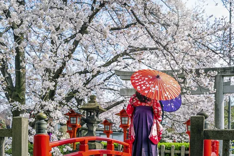 Kioto con los cerezos en plena flor