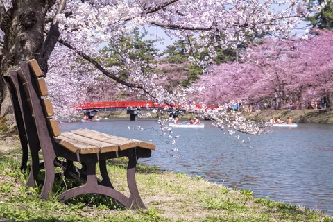Parque Hirosaki, Aomori