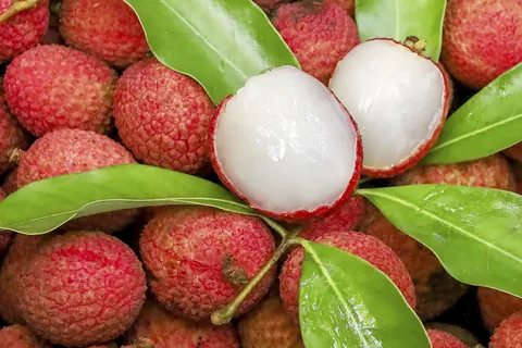 ライチ