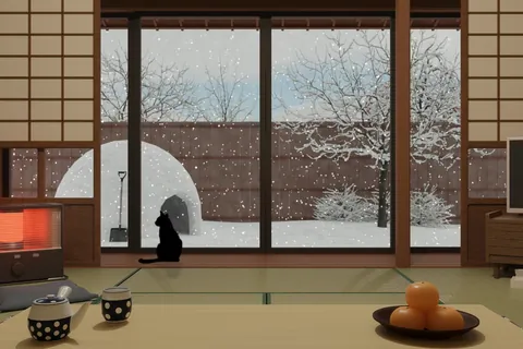 Snow seen from a Japanese-style room