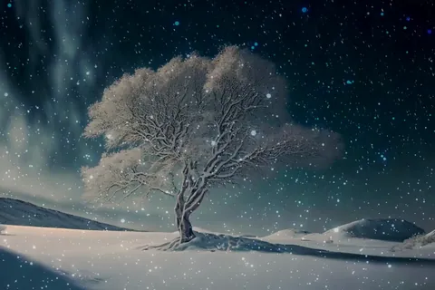 Fantastic snowy scenery