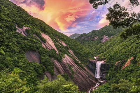 屋久島 / 日本