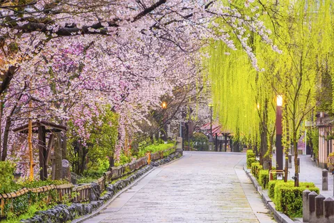 Gion Shirakawa, Quioto, Japão