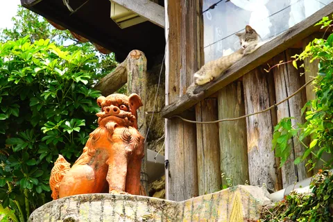 Shisa and Cat