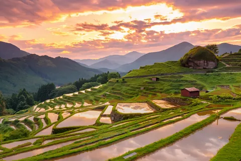 丸山千枚田 / 三重県