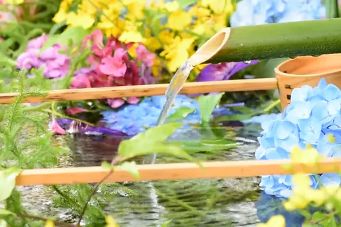 Bunte Blüten im Reinigungsbecken