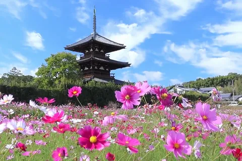 Schmuckkörbchen und Hōryū-ji