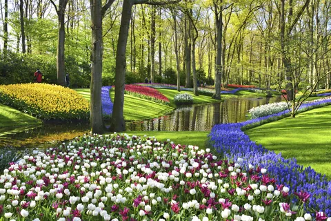 キューケンホフ / オランダ