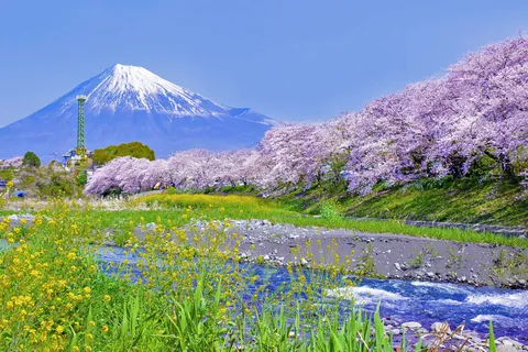 潤井川と富士山 / 日本