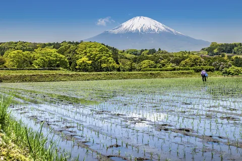 田園風景