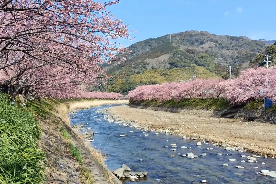 【動く】日本の四季