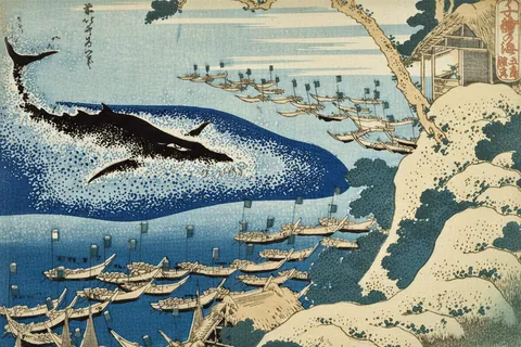 千絵の海 五島鯨突