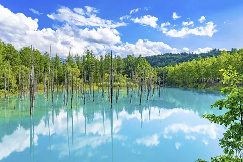 Blue Pond, Hokkaido